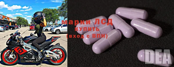 эйфоретик Аркадак