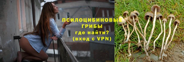 гидропоника Армянск