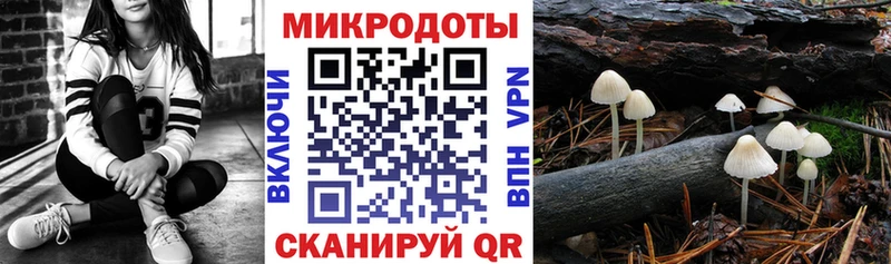Псилоцибиновые грибы Magic Shrooms  hydra зеркало  Рославль 